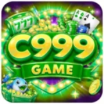 C999 Game